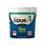 One True Life- Birla Opus